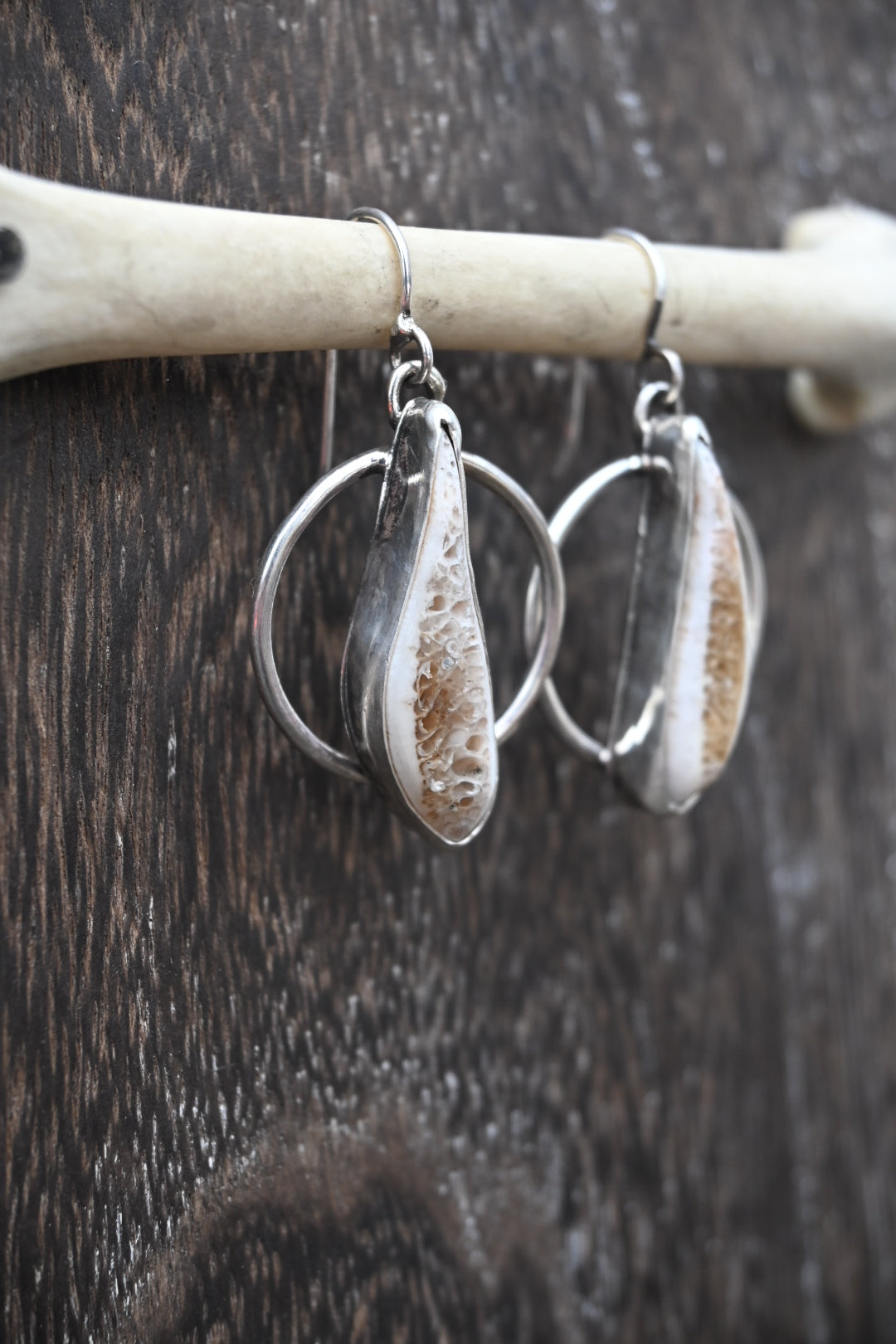 Polished Rib Earrings