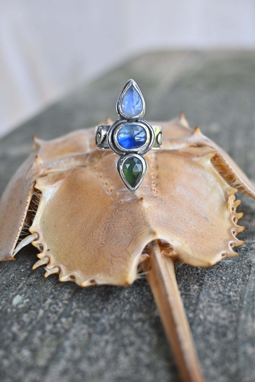 Waverider Ring