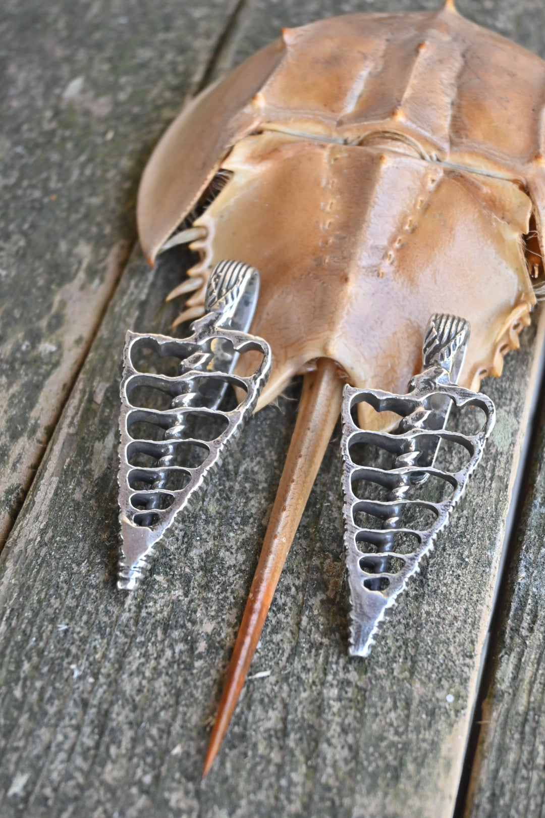 Silver Shell Spine Ear Weights