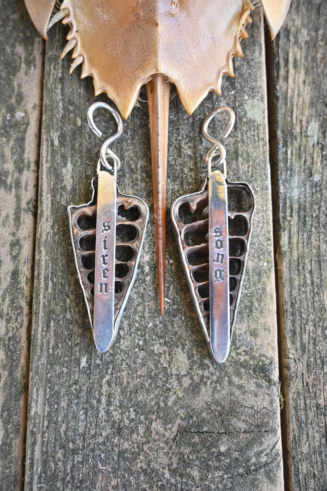 Siren Song Shell Ear Weights