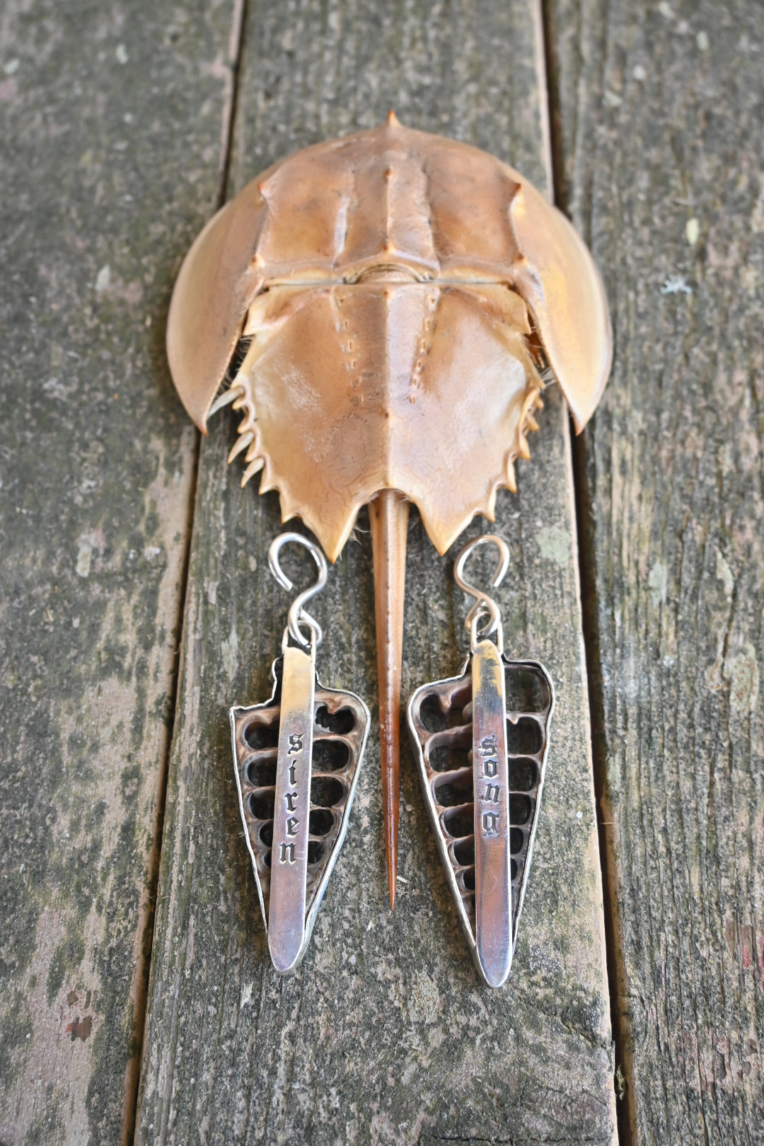 Siren Song Shell Ear Weights