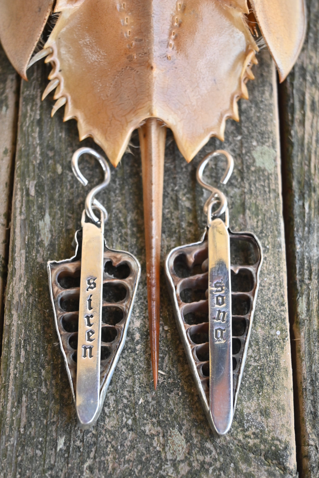 Siren Song Shell Ear Weights