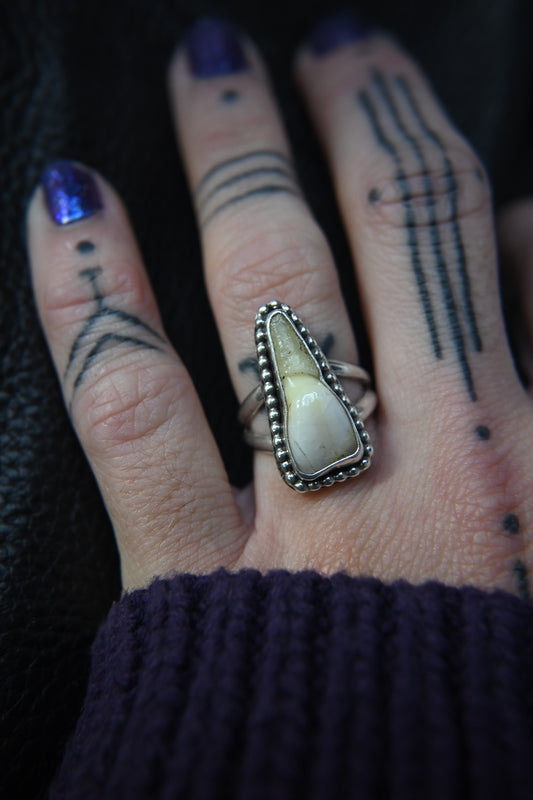 Tooth Ring