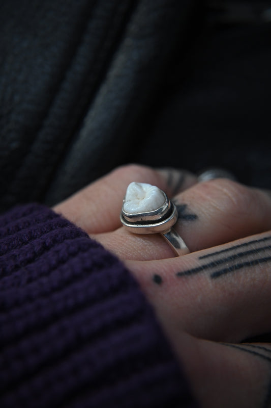 Tooth Ring
