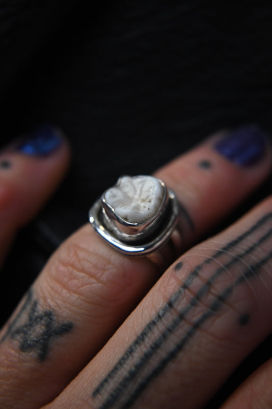 Tooth Ring