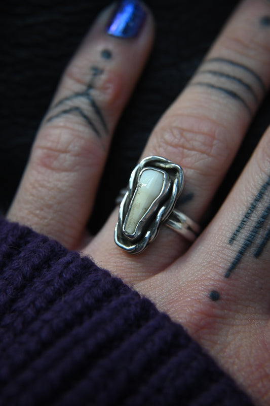 Tooth Ring