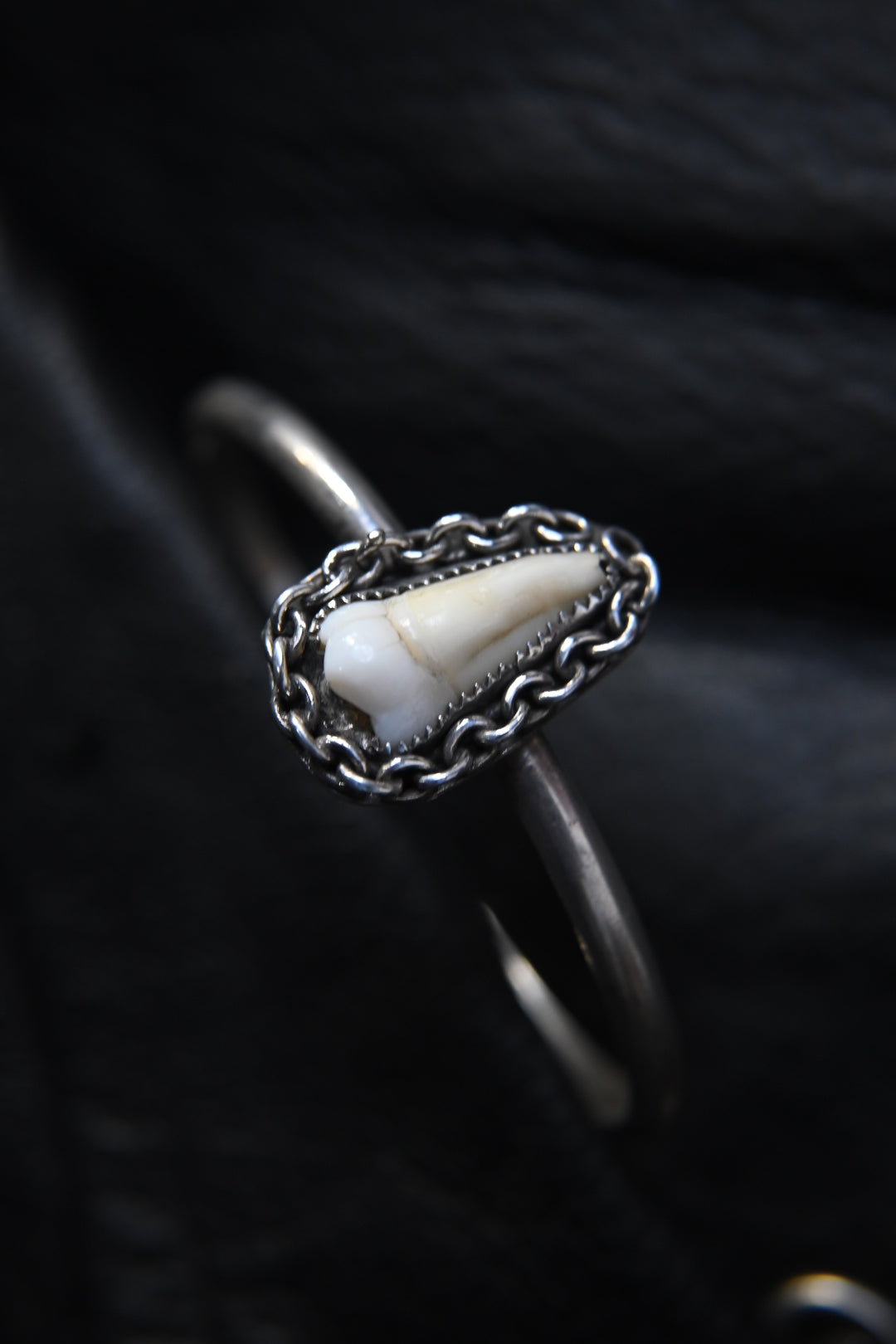 Tooth Bracelet