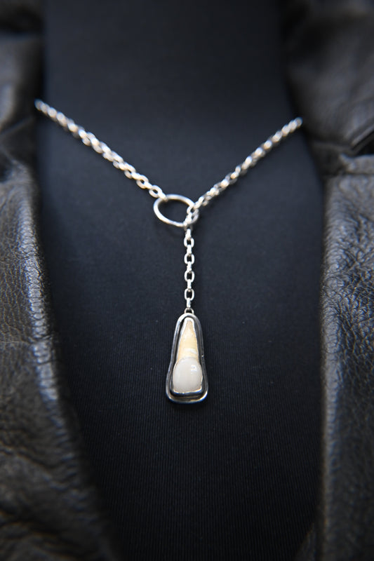 Tooth Lariat Style Necklace