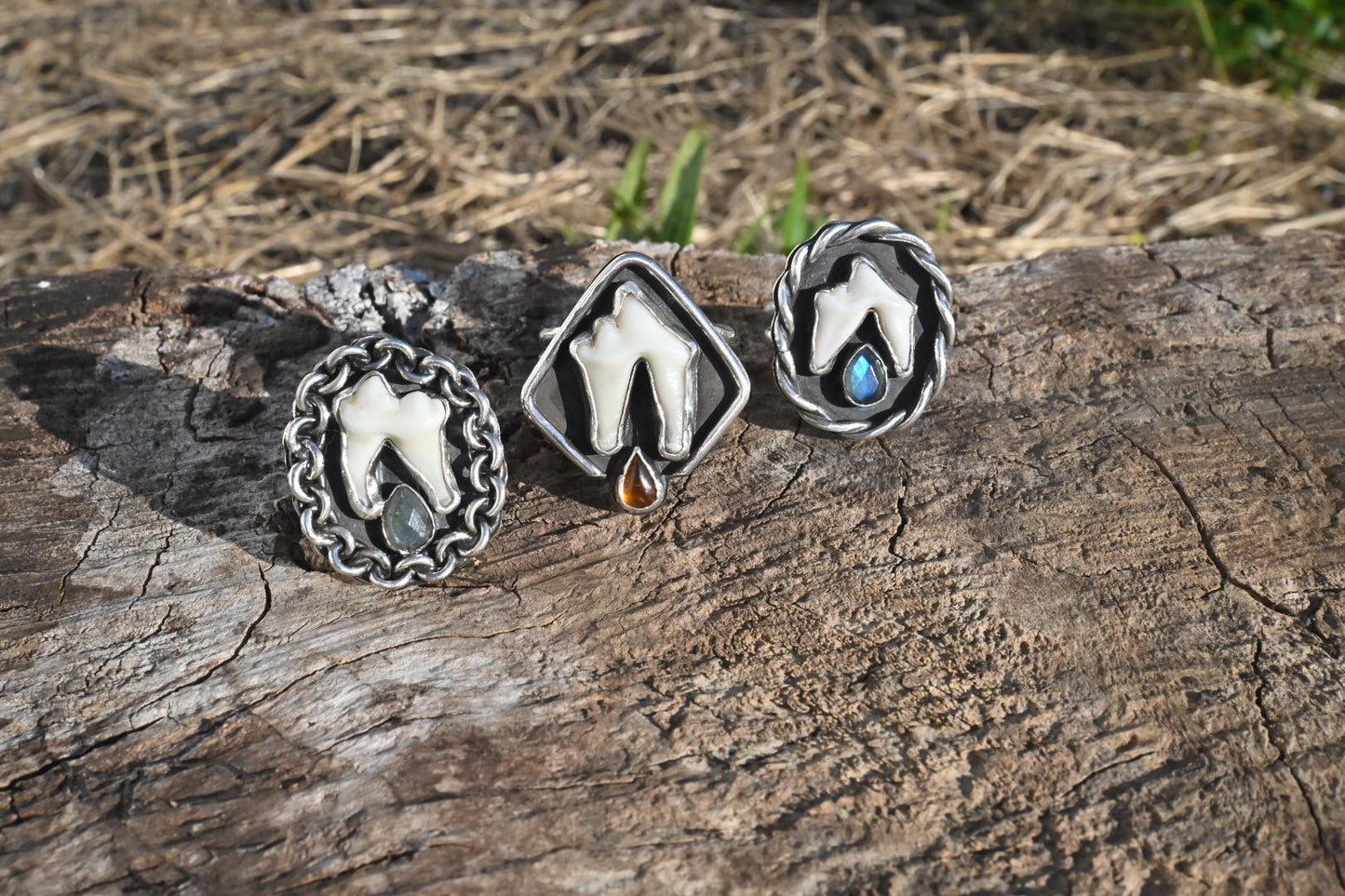 Coyote Tooth & Amber Ring