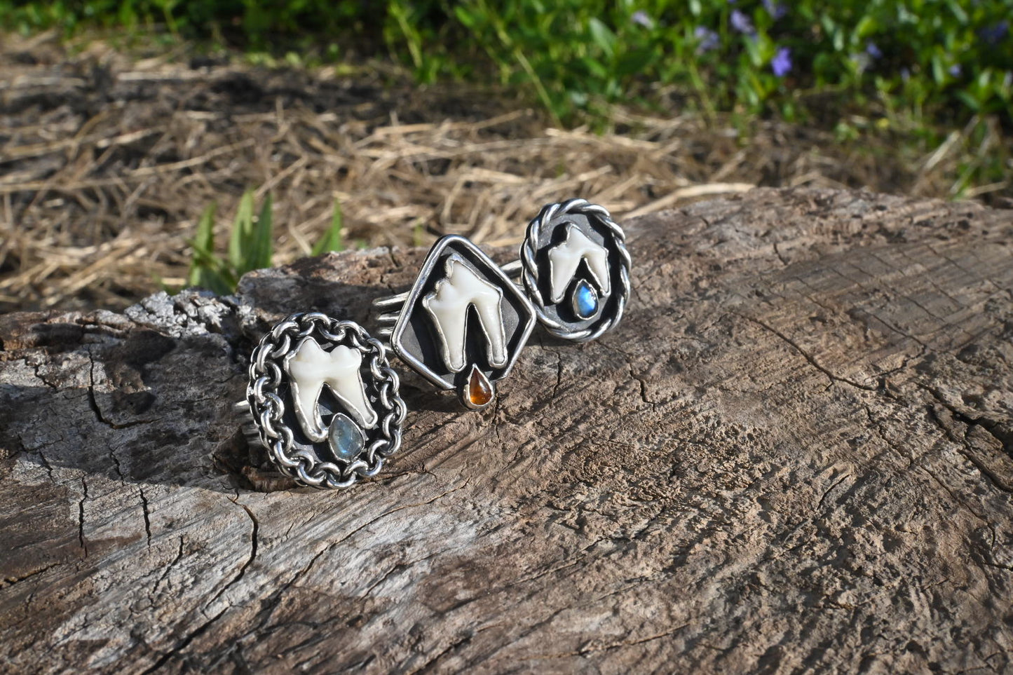 Coyote Tooth & Amber Ring