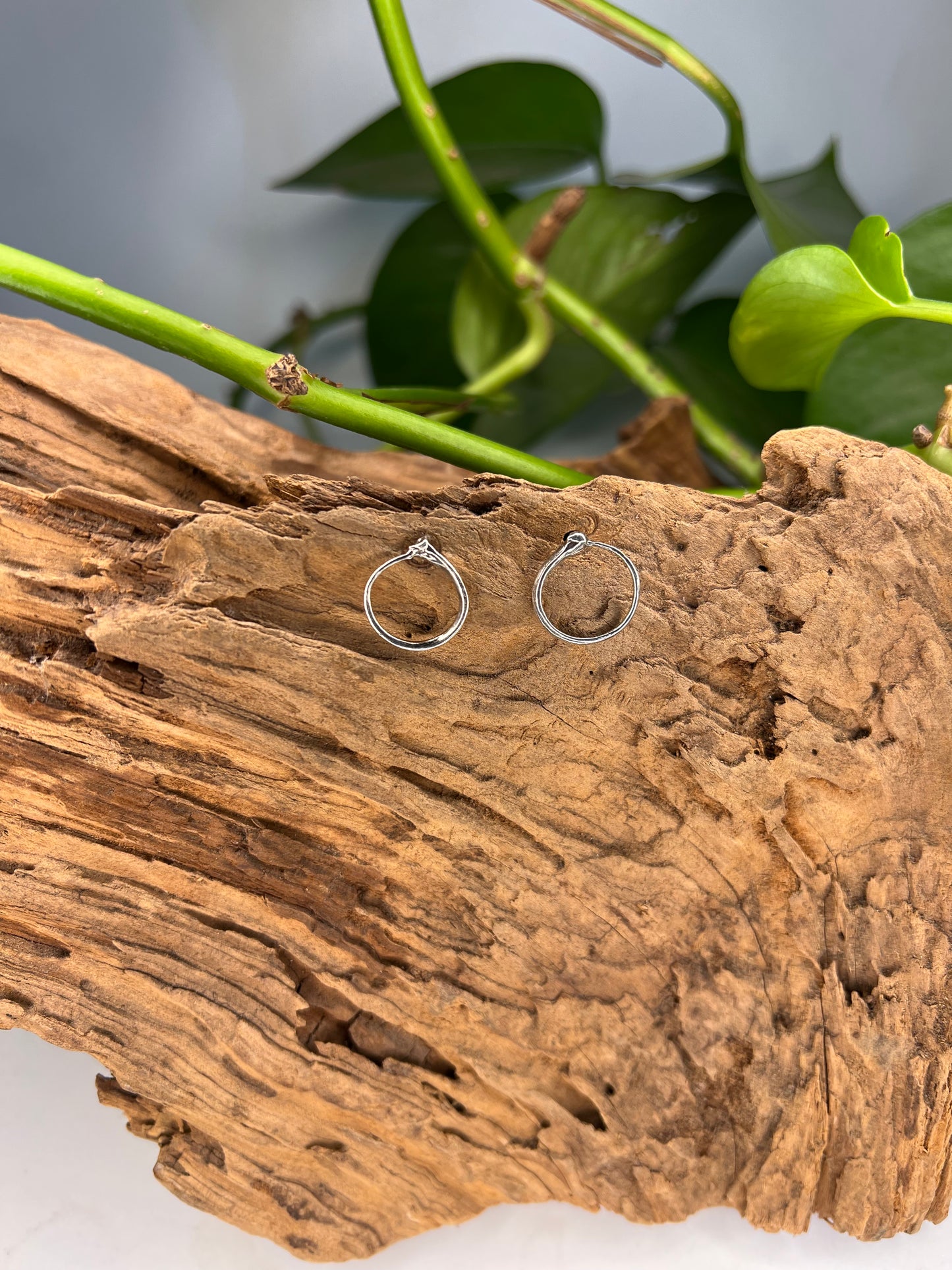 Ouroboros Earrings