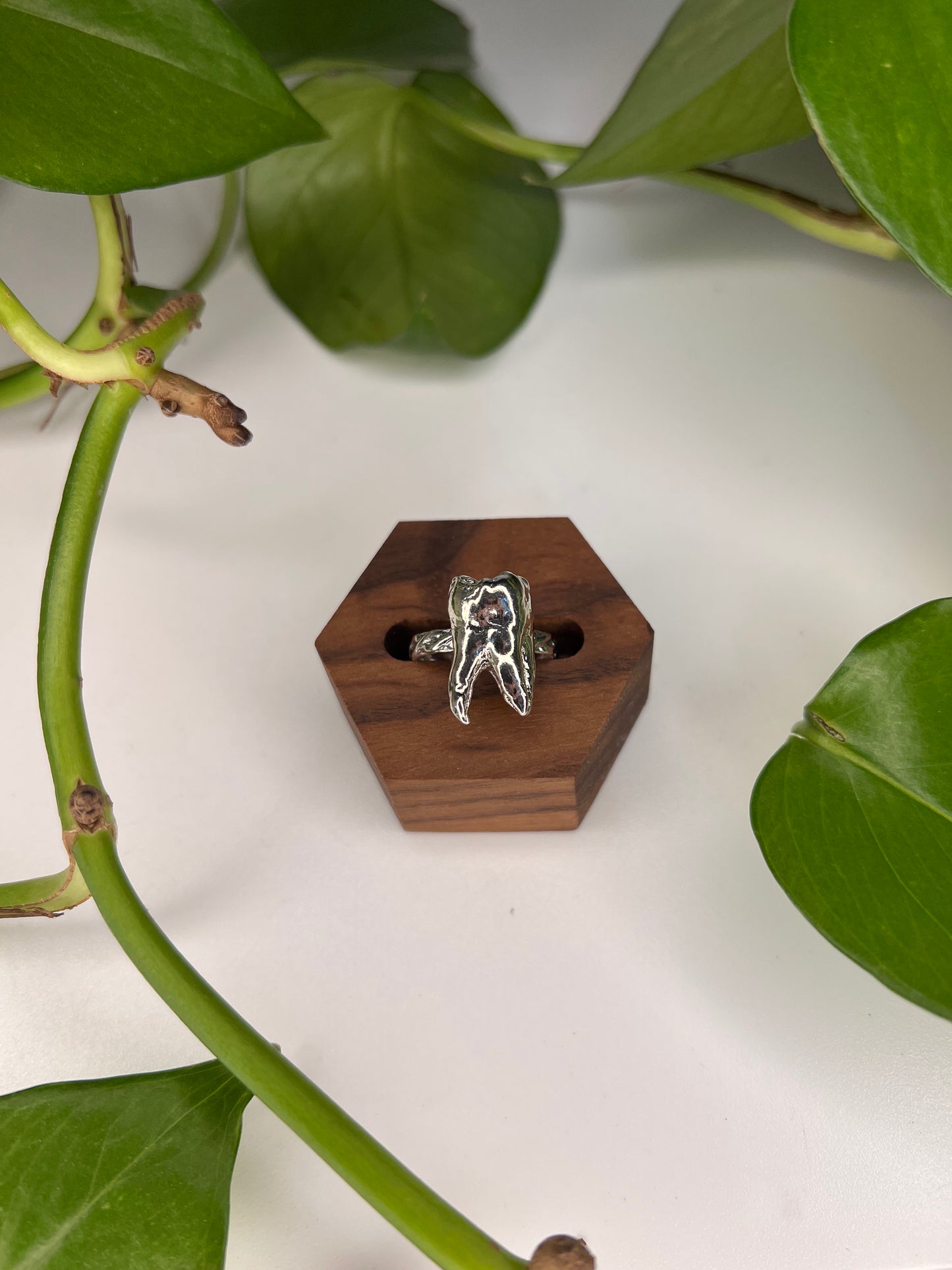 Consequences Ring