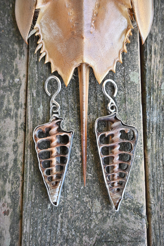 Siren Song Shell Ear Weights
