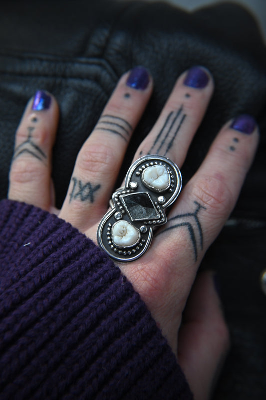 Tooth & Golden Sheen Obsidian