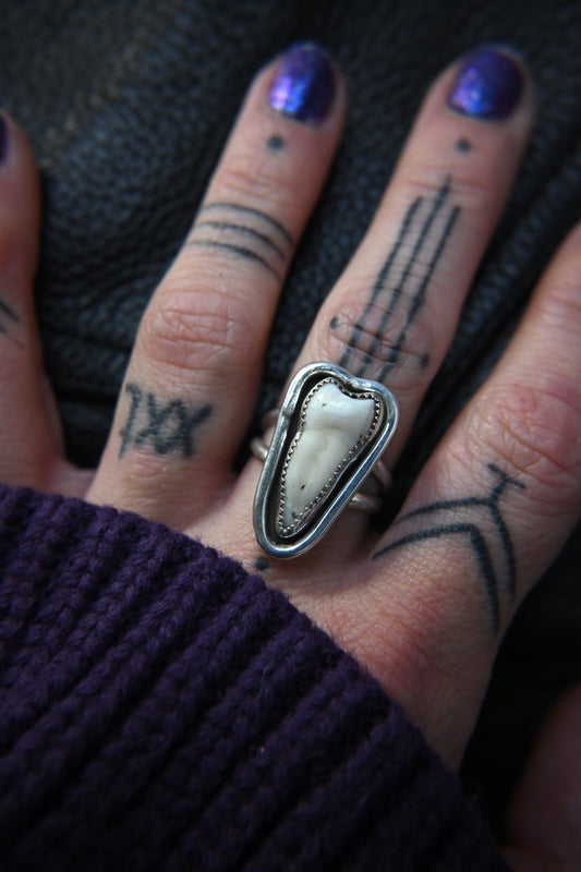 Tooth Ring