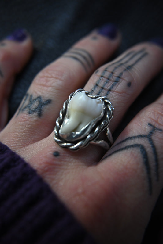 Tooth Ring
