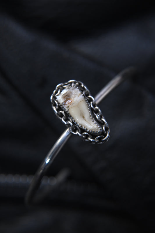 Tooth Bracelet