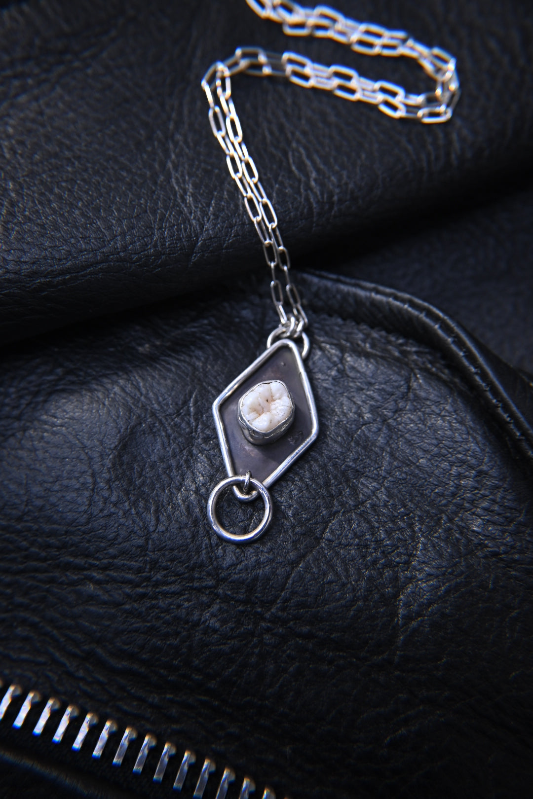 Tooth 'o-ring' Necklace