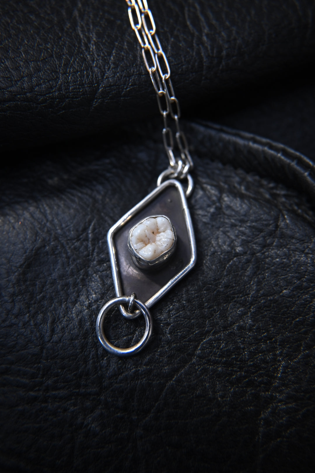 Tooth 'o-ring' Necklace