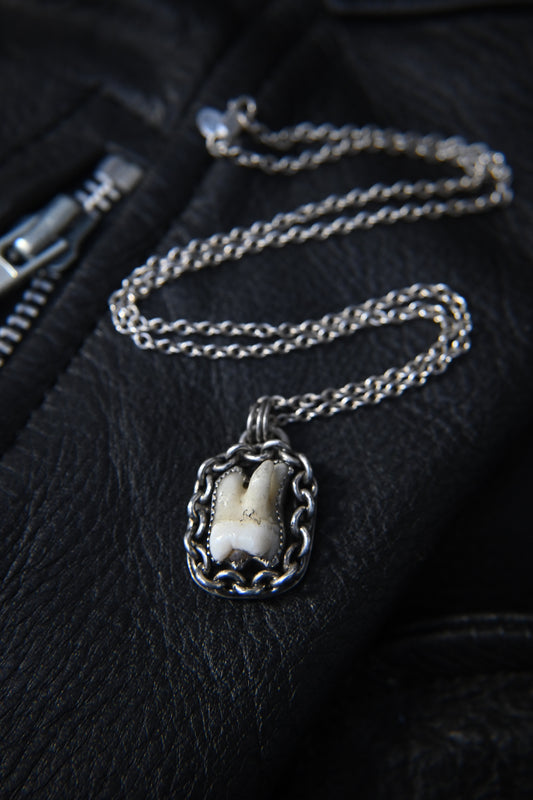 Tooth Necklace