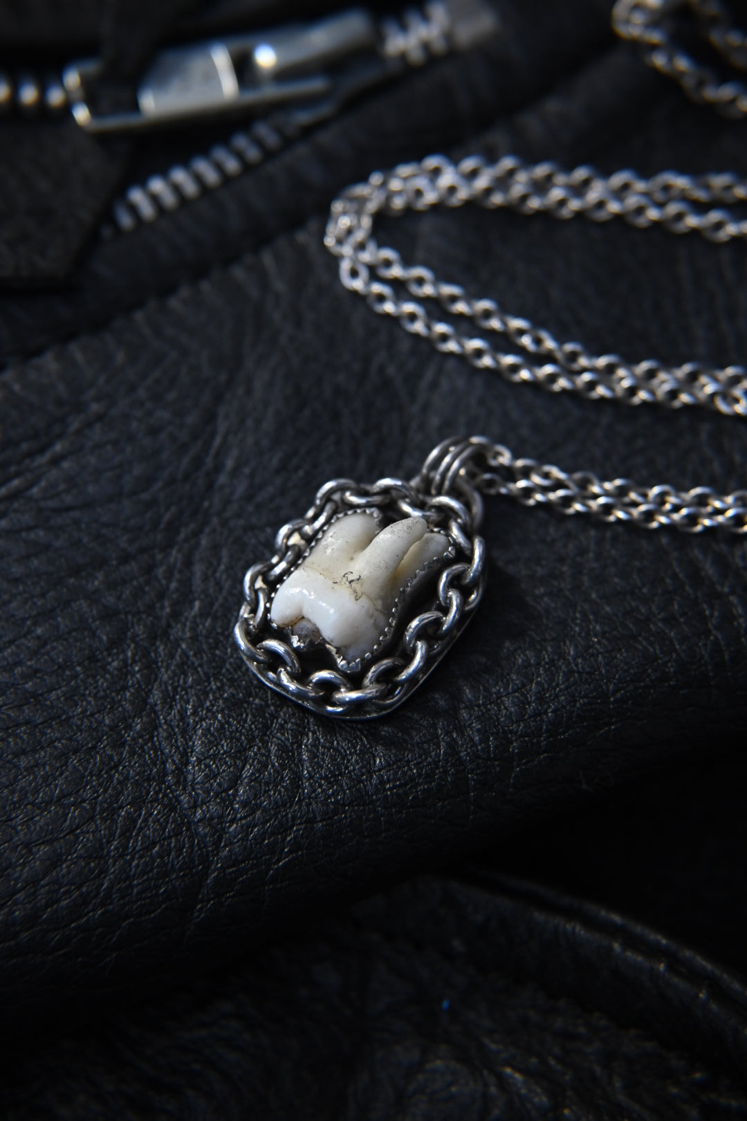 Tooth Necklace