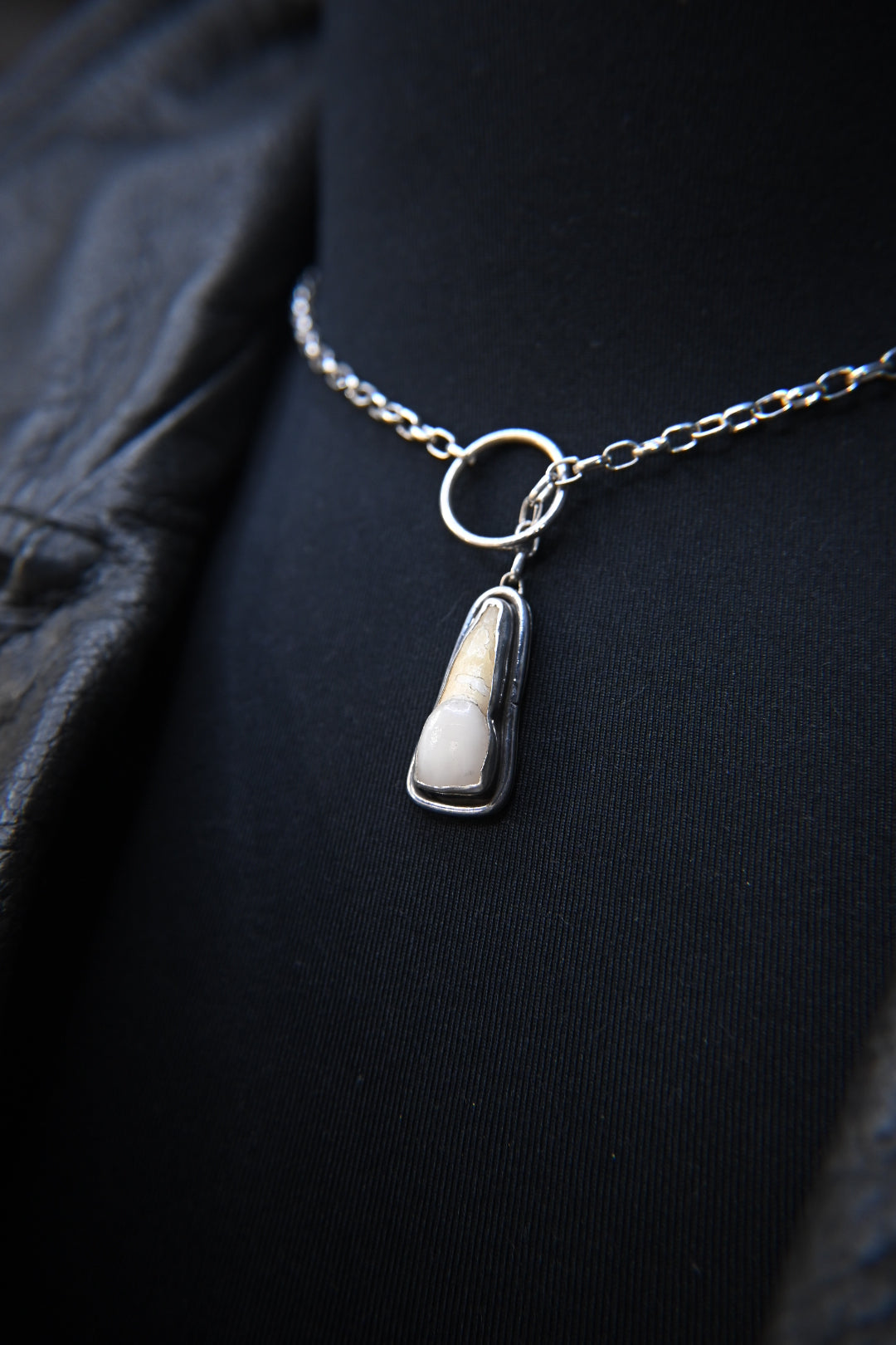 Tooth Lariat Style Necklace