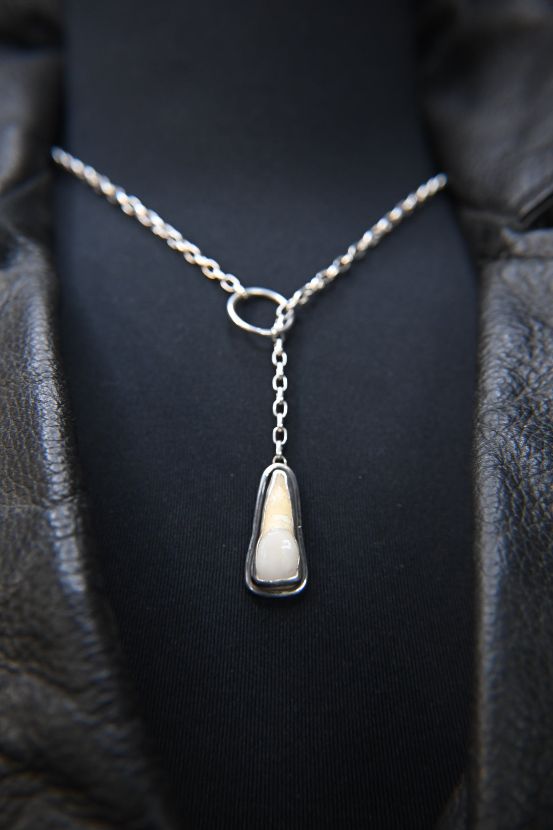 Tooth Lariat Style Necklace