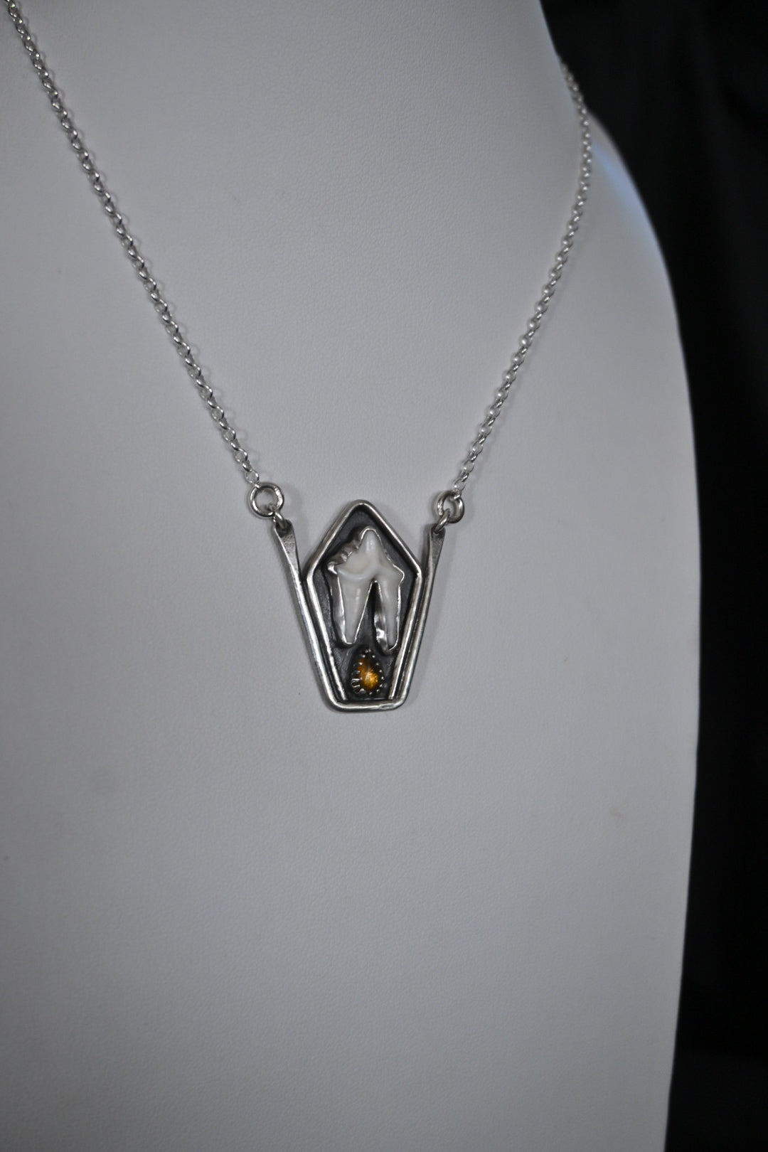 Coyote Tooth & Amber Necklace