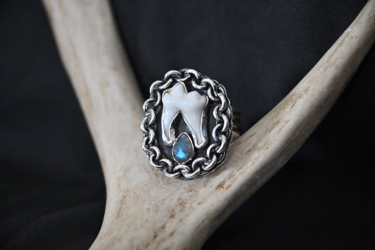 Fox Molar & Labradorite Ring