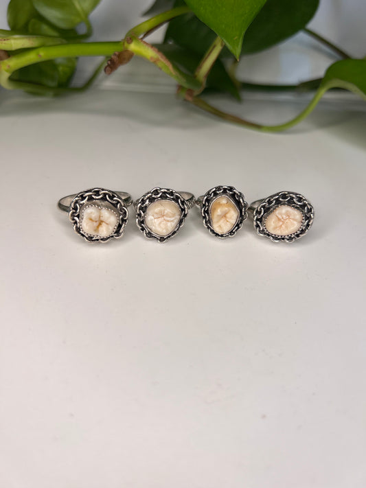 Tooth Ring [made to order]