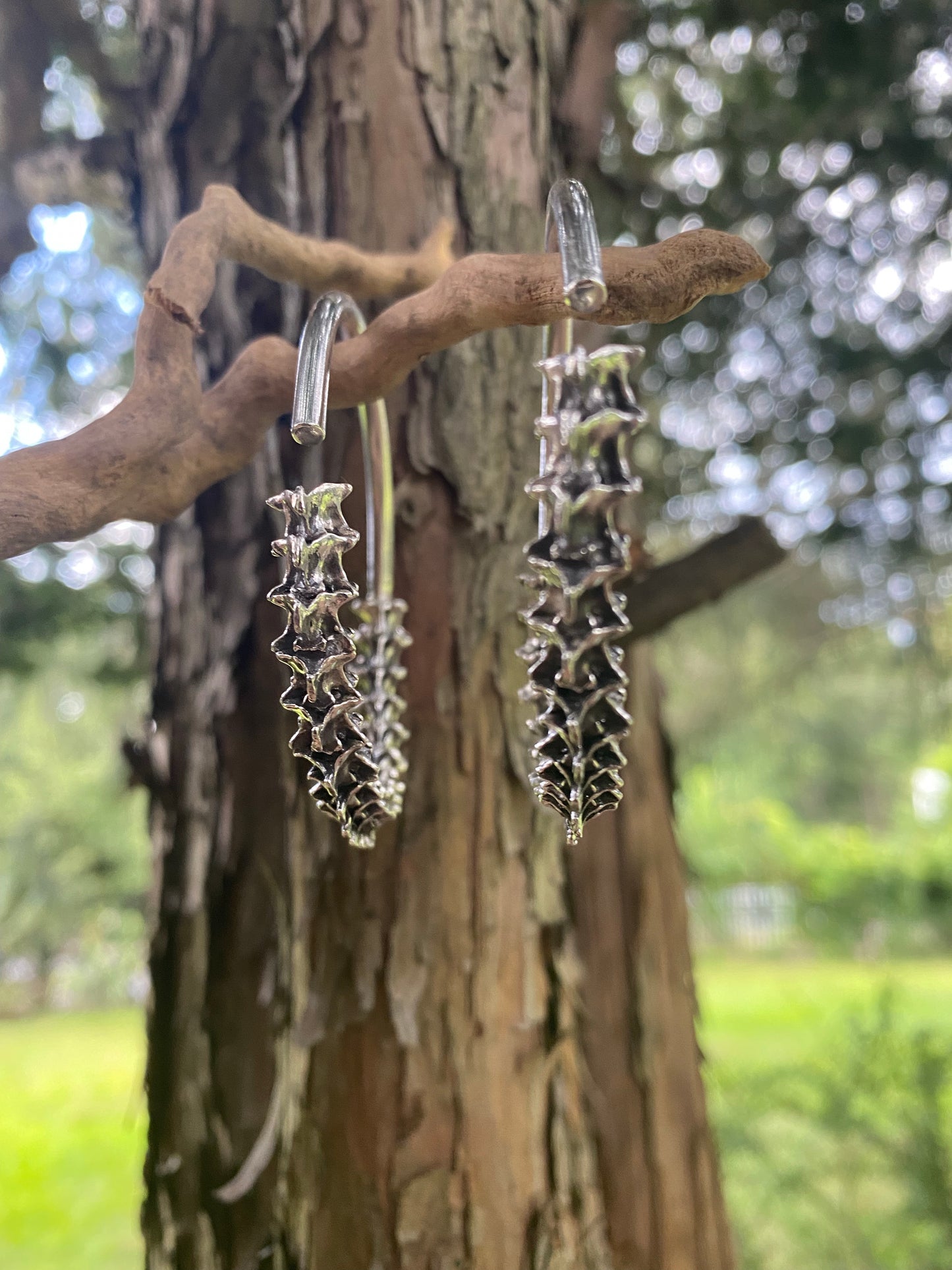 Constrictor Ear Weights