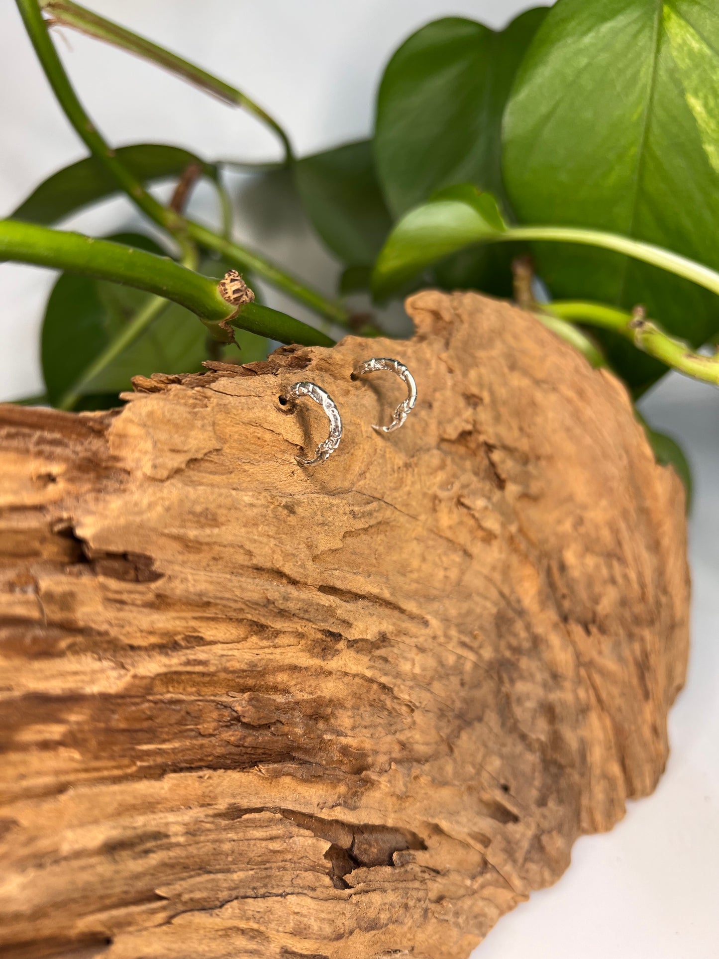 Talon Earrings