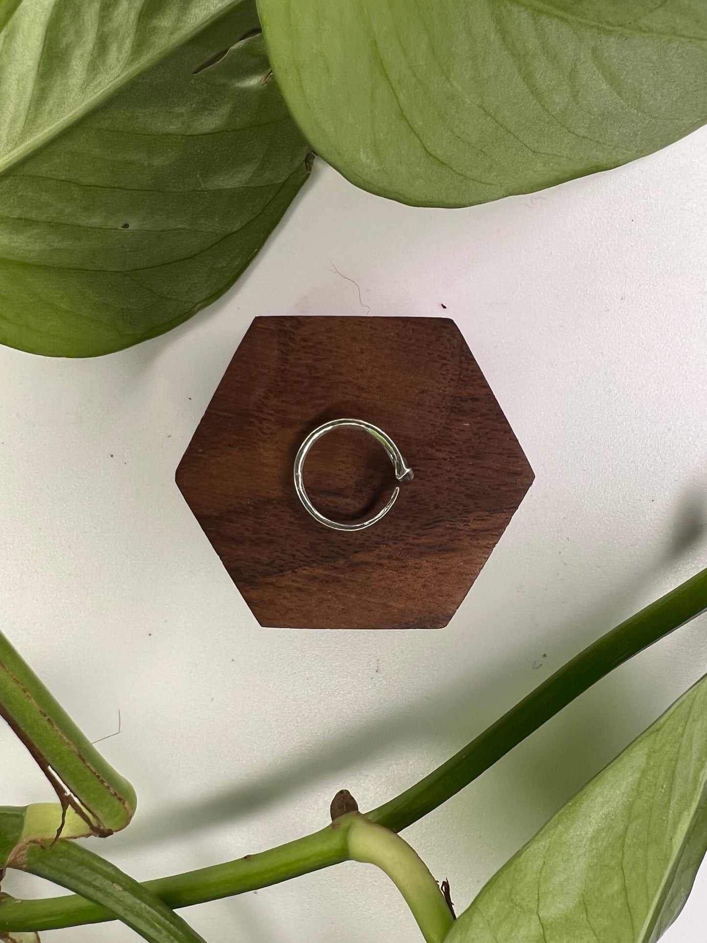 Ouroboros Septum Ring
