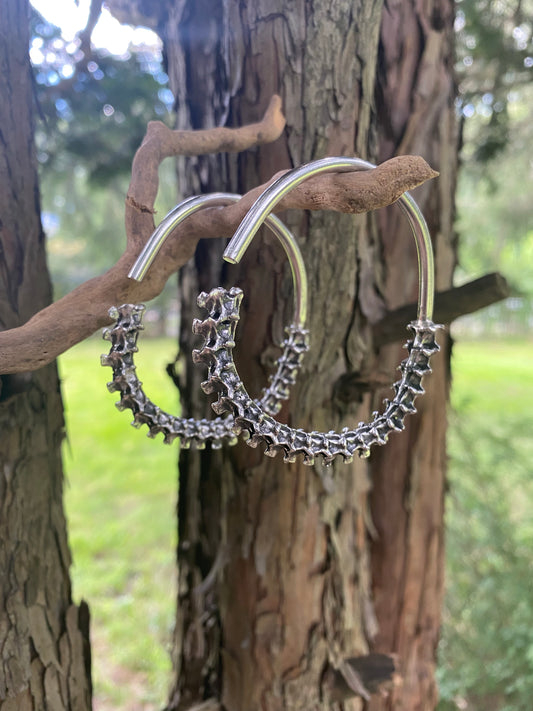 Constrictor Ear Weights