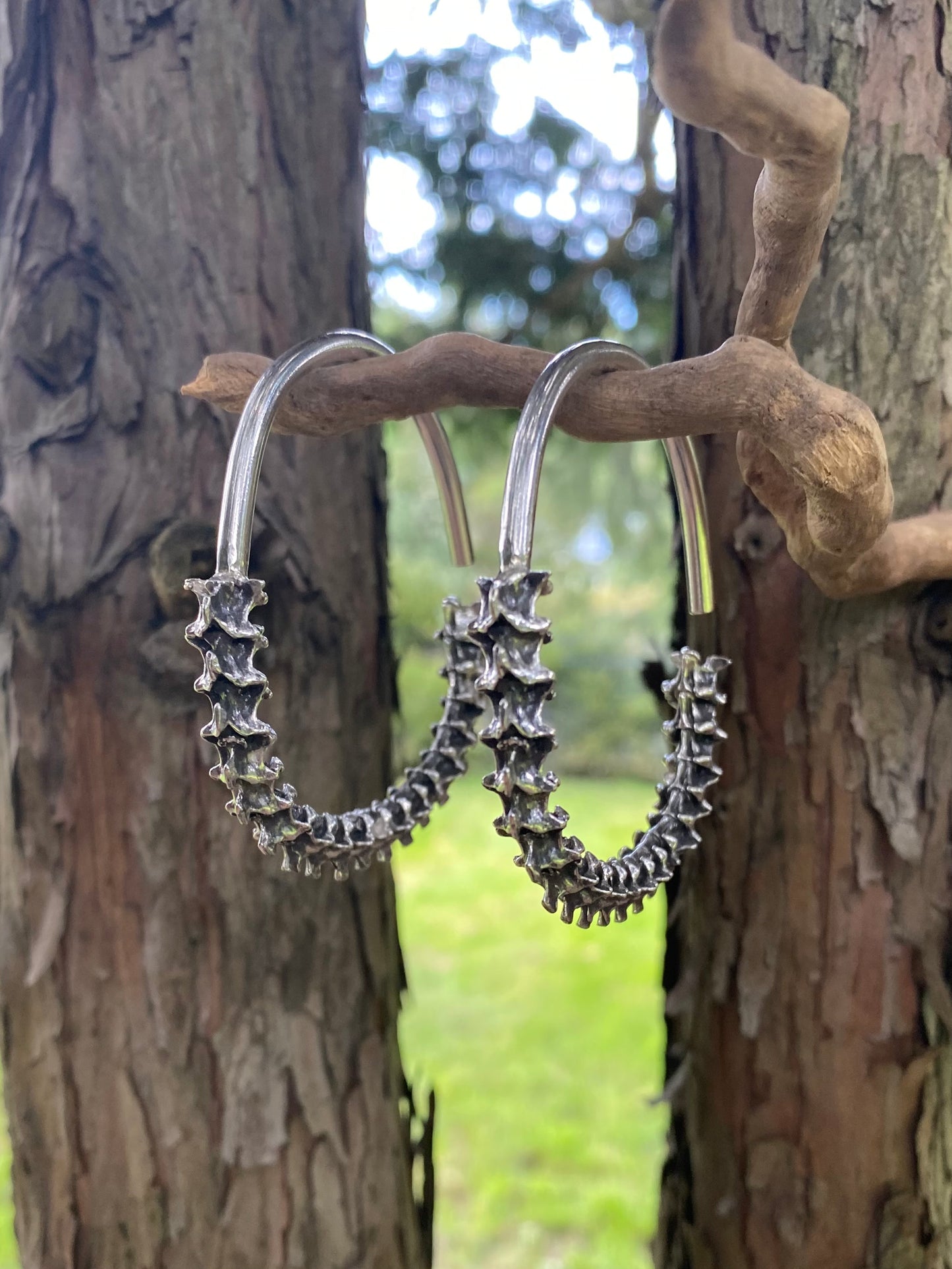 Constrictor Ear Weights